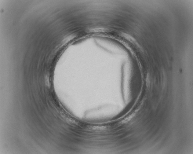 X0000062931209200602031938