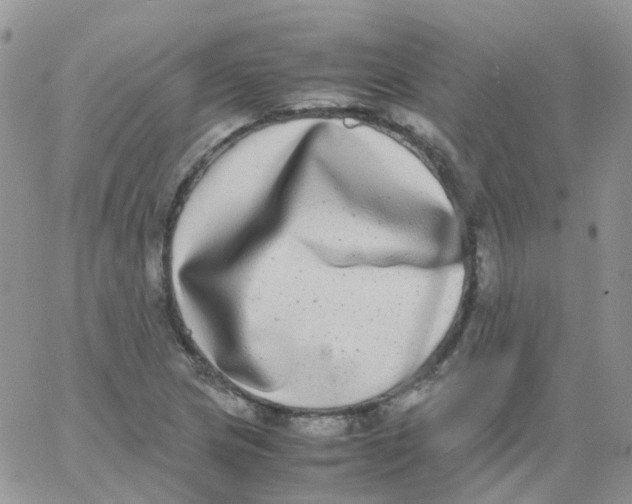 X0000062931217200602031938