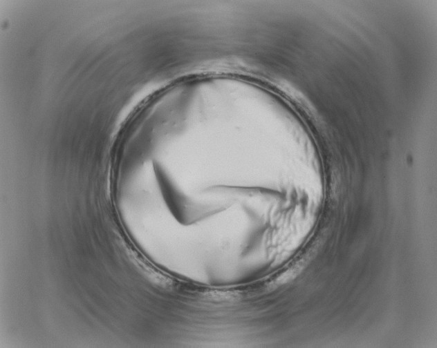 X0000062931224200602031938