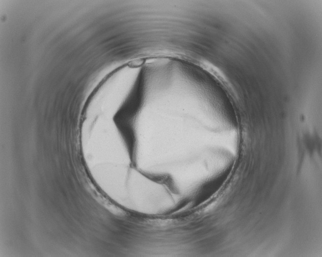X0000062931236200602031939