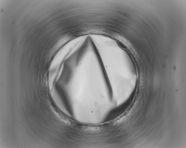 X0000062931241200602031939