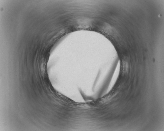 X0000062931250200602031938