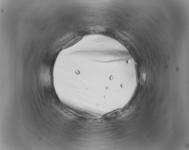 X0000062931252200602031938