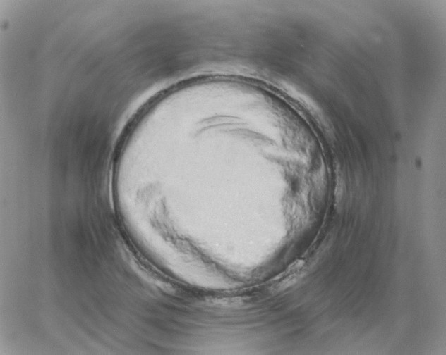 X0000062931272200602031938