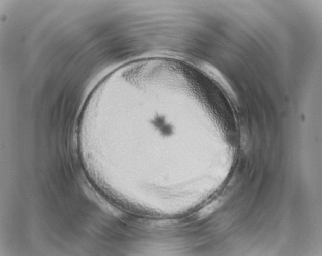 X0000062931292200602031937