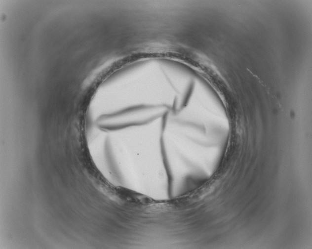 X0000062931304200602031937