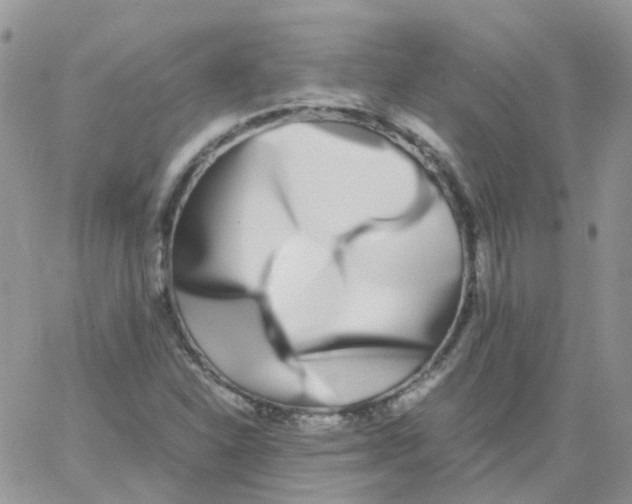 X0000062931310200602031937