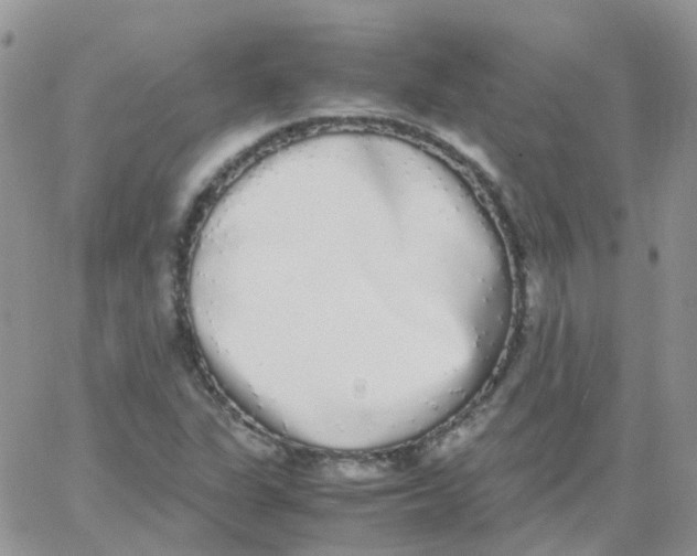 X0000062931311200602031937