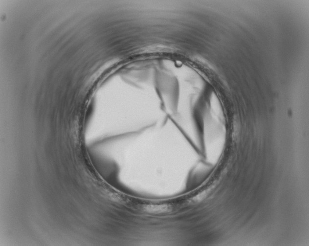 X0000062931313200602031937