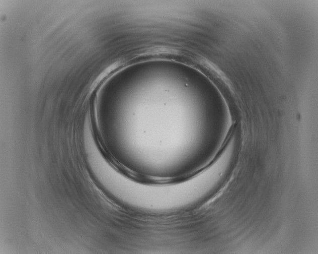 X0000062931321200602031937