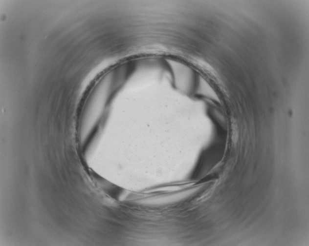 X0000062931326200602031937