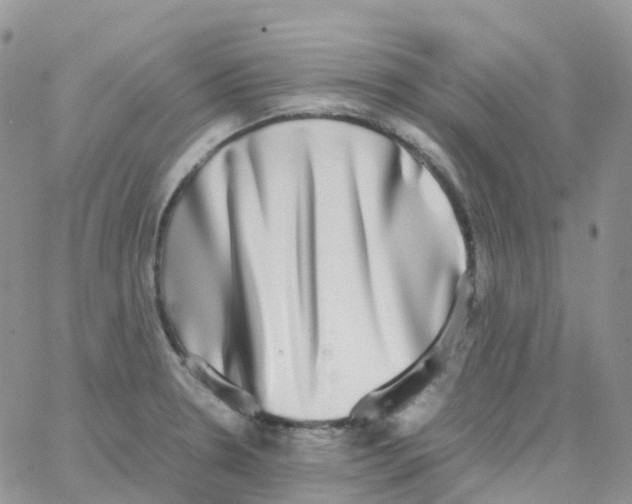 X0000062931330200602031937