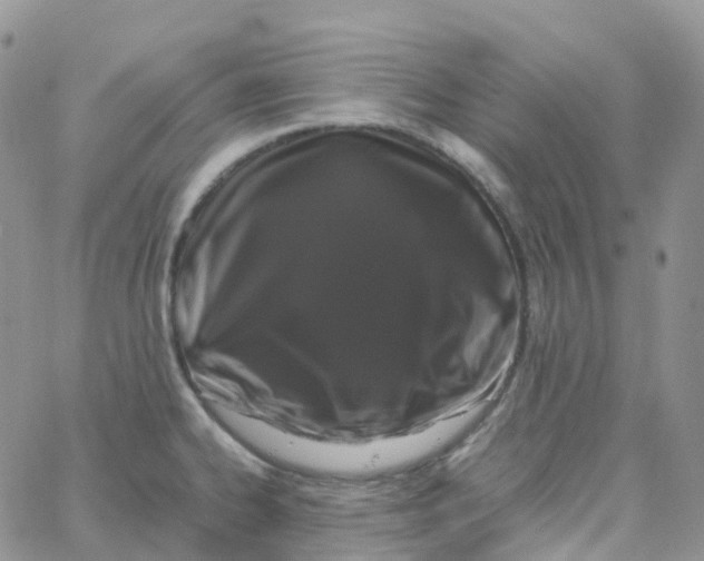 X0000062931334200602031937