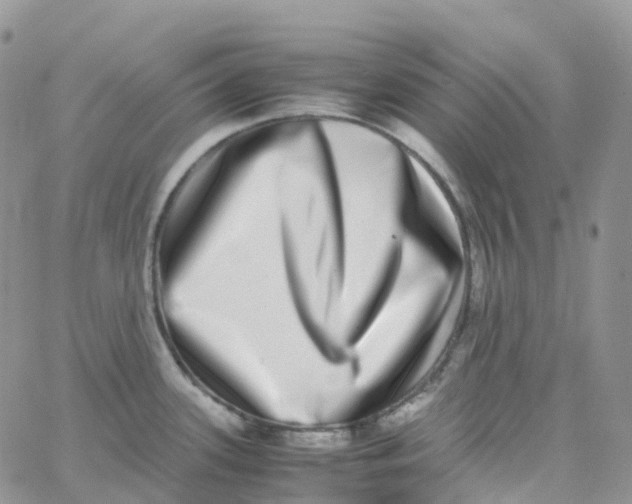 X0000062931339200602031937