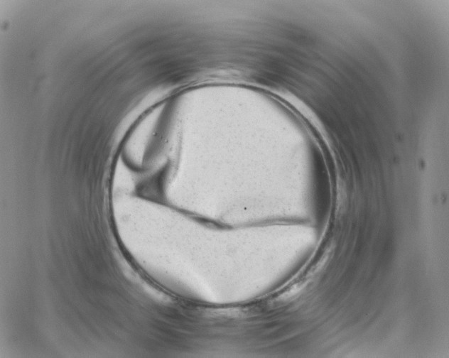 X0000062931341200602031937