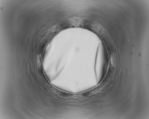 X0000062931347200602031936