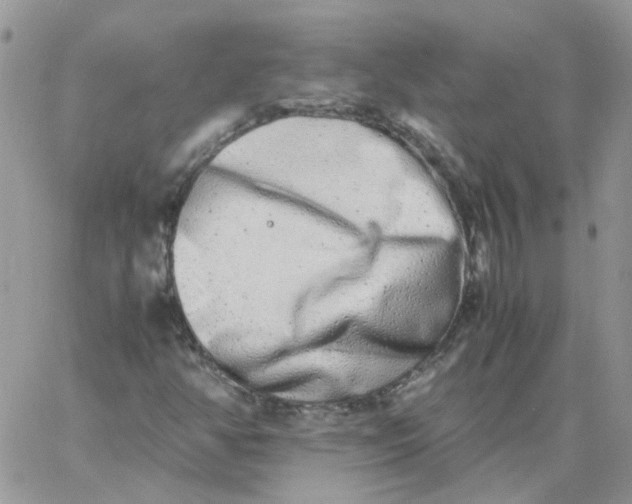 X0000062931350200602031936