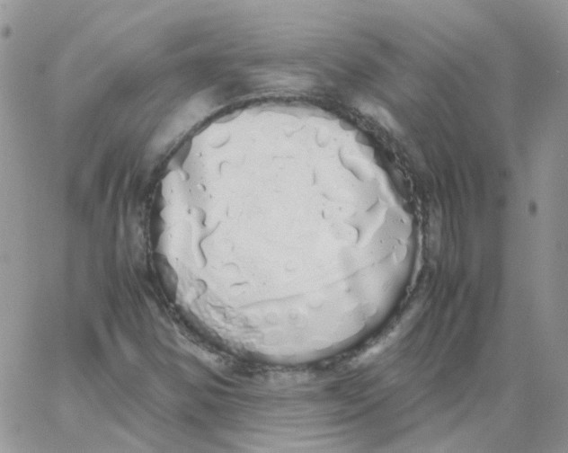X0000062931354200602031936