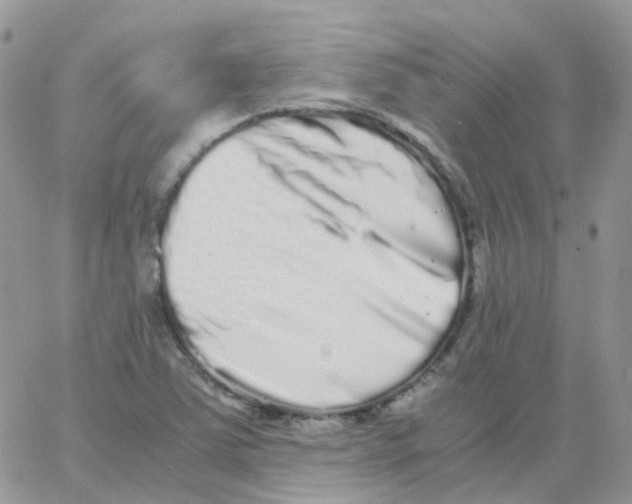 X0000062931363200602031936