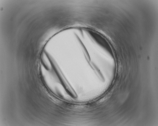 X0000062931367200602031936