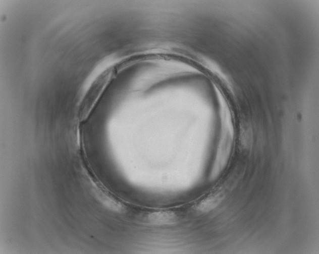 X0000062931368200602031936