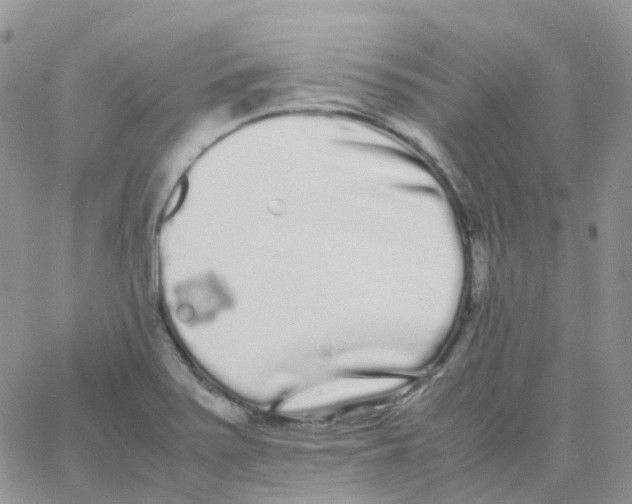 X0000062931371200602031936