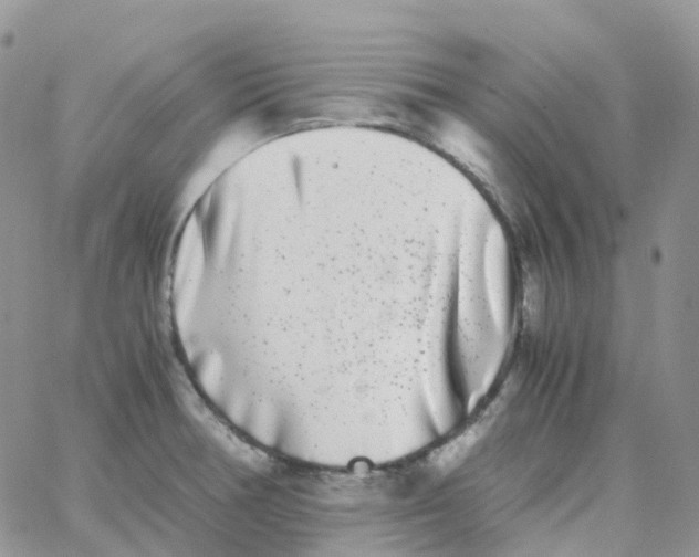 X0000062931378200602031936