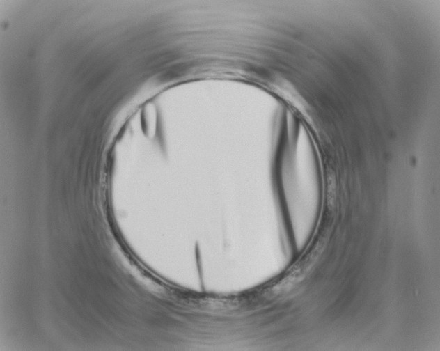 X0000062931379200602031936