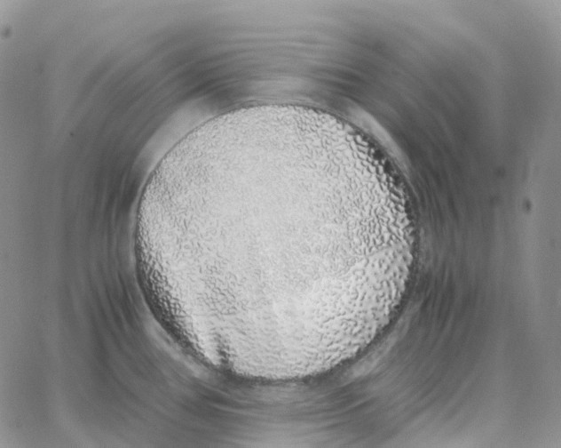X0000062931386200602031936