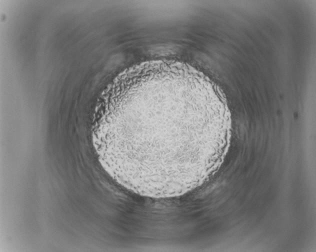 X0000062931393200602031935