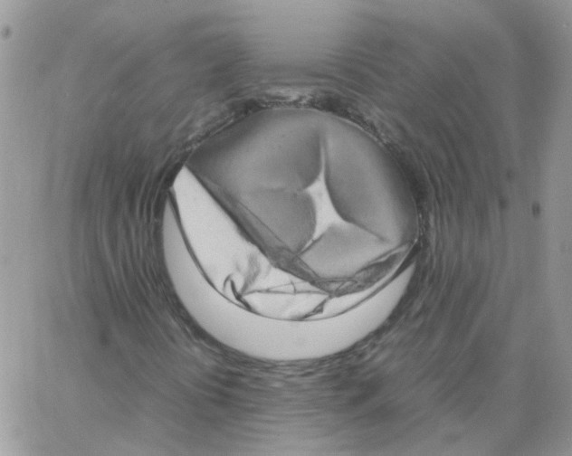X0000062931394200602031935