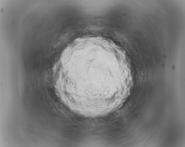 X0000062931397200602031935