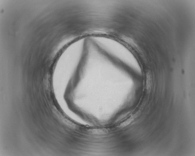 X0000062931404200602031935