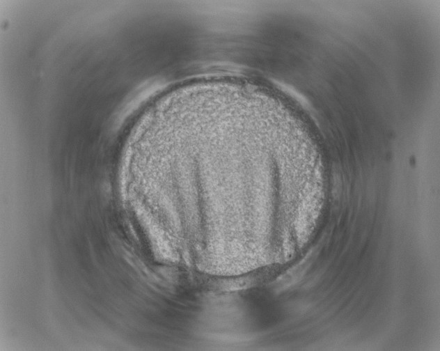 X0000062931407200602031935
