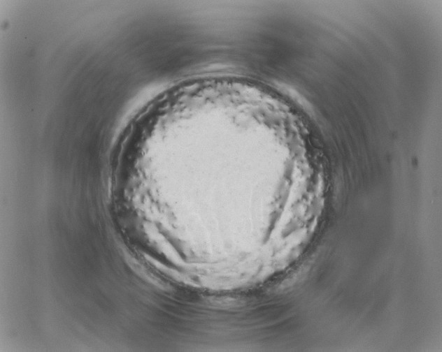 X0000062931413200602031935