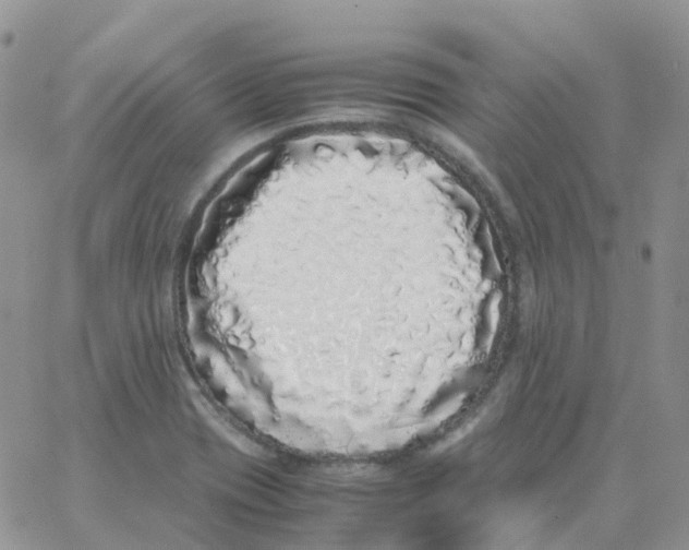 X0000062931417200602031935