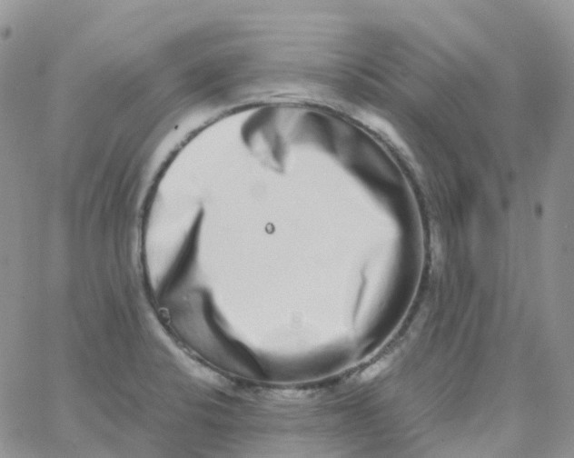 X0000062931424200602031935