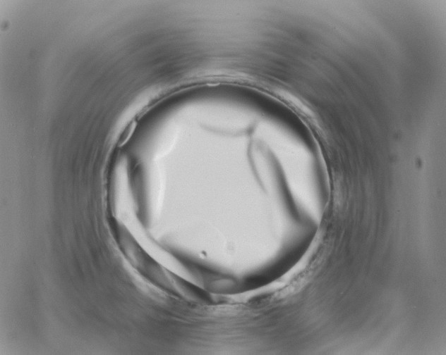 X0000062931430200602031936