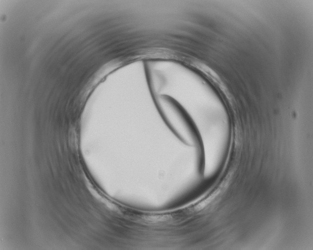 X0000062931433200602031936