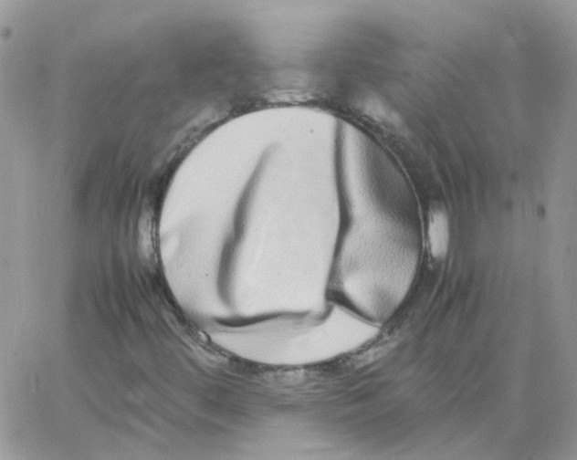 X0000062931444200602031935