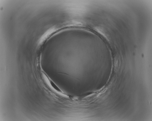 X0000062931455200602031935