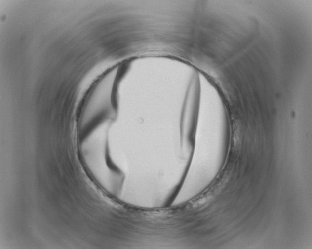 X0000062931472200602031934