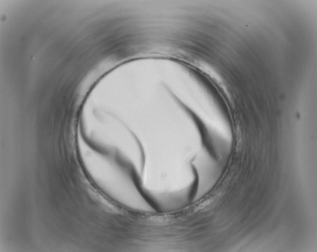 X0000062931480200602031934