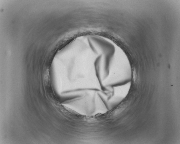 X0000062931492200602031933
