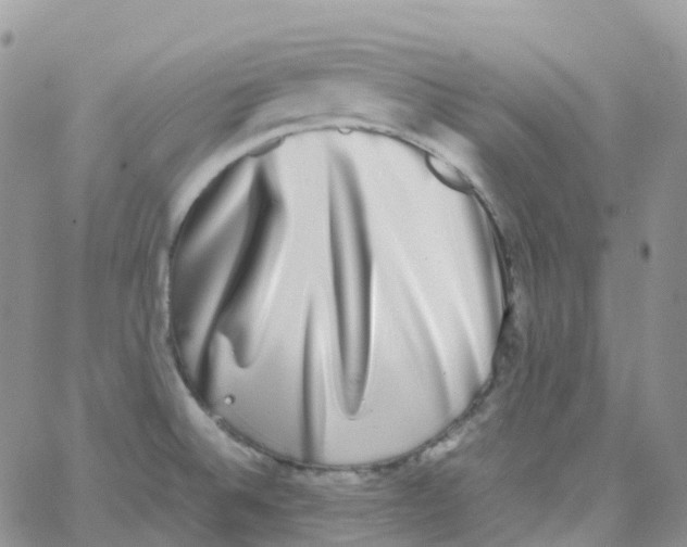 X0000062931524200602031934