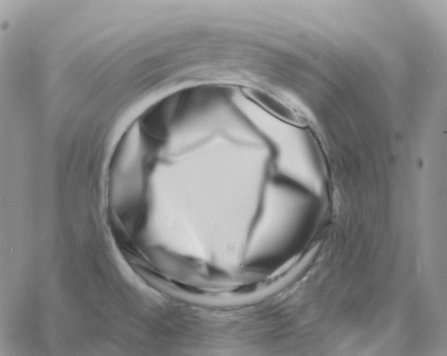 X0000062931528200602031934