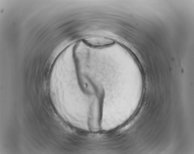 X0000062931529200602031934