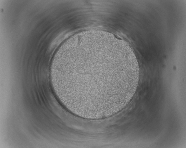 X0000062930002200602101933