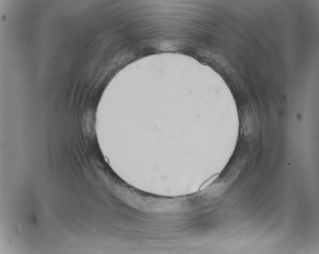 X0000062930044200602101933