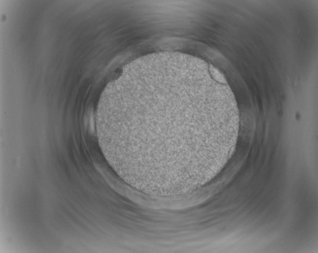X0000062930046200602101933